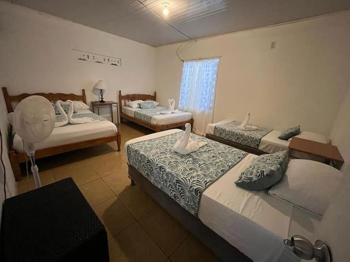 Casa Artavia Villa Тортугеро Екстериор снимка